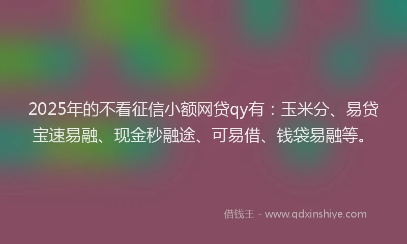 2025年的不看征信小额网贷qy有：玉米分、易贷宝速易融、现金秒融途、可易借、钱袋易融等。