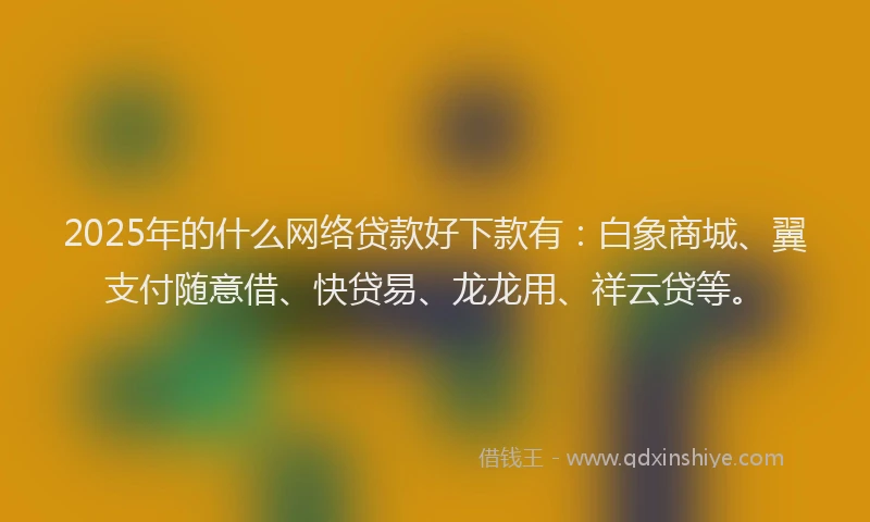 2025年的什么网络贷款好下款有：白象商城、翼支付随意借、快贷易、龙龙用、祥云贷等。