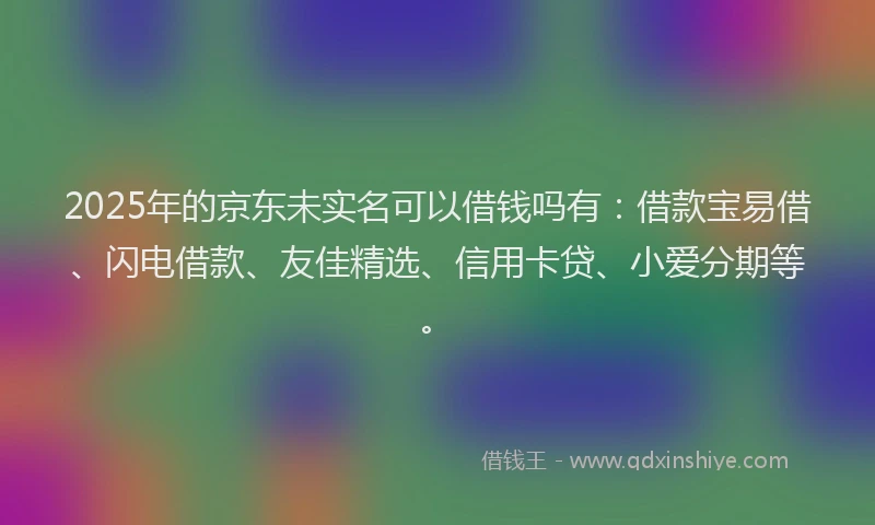 2025年的京东未实名可以借钱吗有：借款宝易借、闪电借款、友佳精选、信用卡贷、小爱分期等。