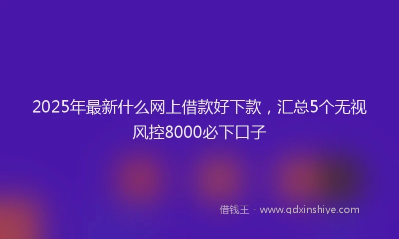 2025年最新什么网上借款好下款，汇总5个无视风控8000必下口子