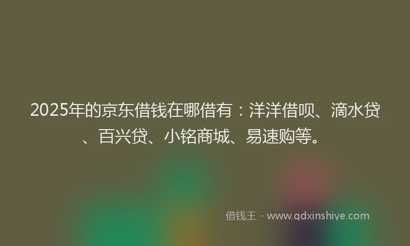 2025年的京东借钱在哪借有：洋洋借呗、滴水贷、百兴贷、小铭商城、易速购等。