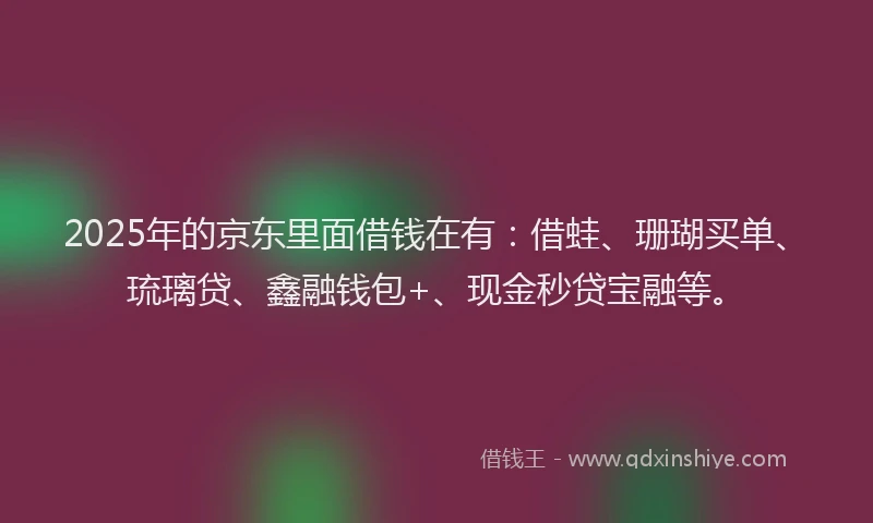 2025年的京东里面借钱在有：借蛙、珊瑚买单、琉璃贷、鑫融钱包+、现金秒贷宝融等。