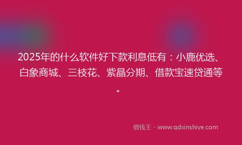 2025年的什么软件好下款利息低有：小鹿优选、白象商城、三枝花、紫晶分期、借款宝速贷通等。