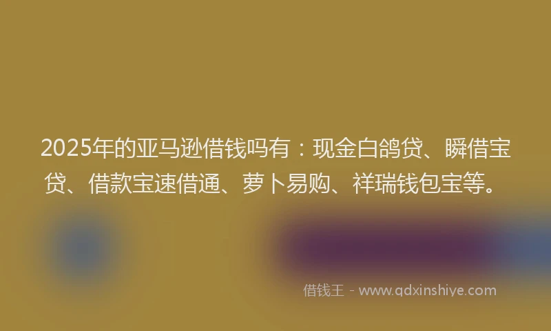 2025年的亚马逊借钱吗有：现金白鸽贷、瞬借宝贷、借款宝速借通、萝卜易购、祥瑞钱包宝等。