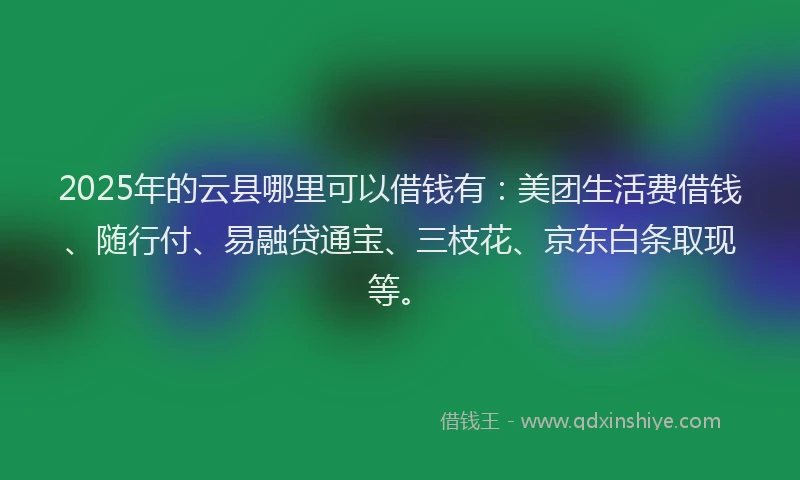 2025年的云县哪里可以借钱有：美团生活费借钱、随行付、易融贷通宝、三枝花、京东白条取现等。