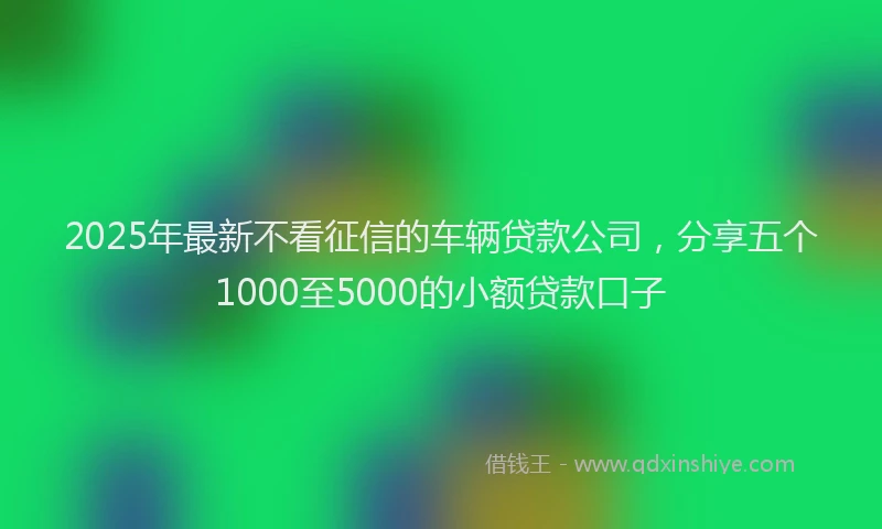 2025年最新不看征信的车辆贷款公司，分享五个1000至5000的小额贷款口子