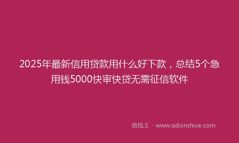 2025年最新信用贷款用什么好下款，总结5个急用钱5000快审快贷无需征信软件