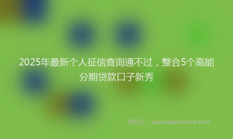 2025年最新个人征信查询通不过，整合5个高能分期贷款口子新秀