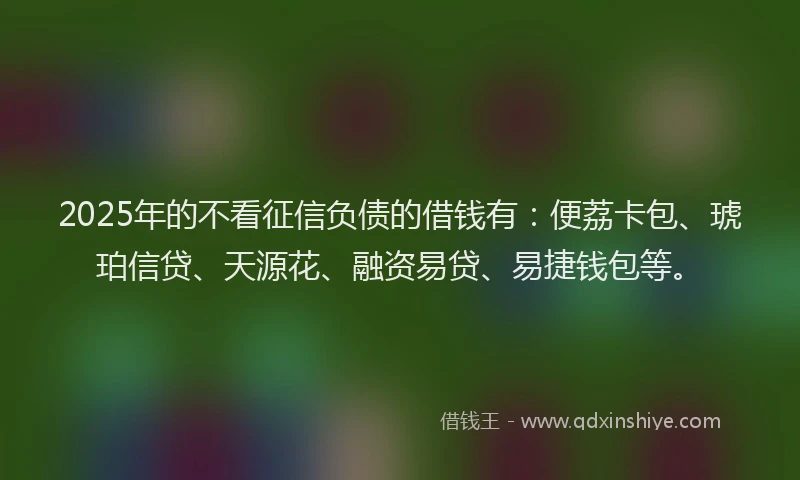 2025年的不看征信负债的借钱有：便荔卡包、琥珀信贷、天源花、融资易贷、易捷钱包等。