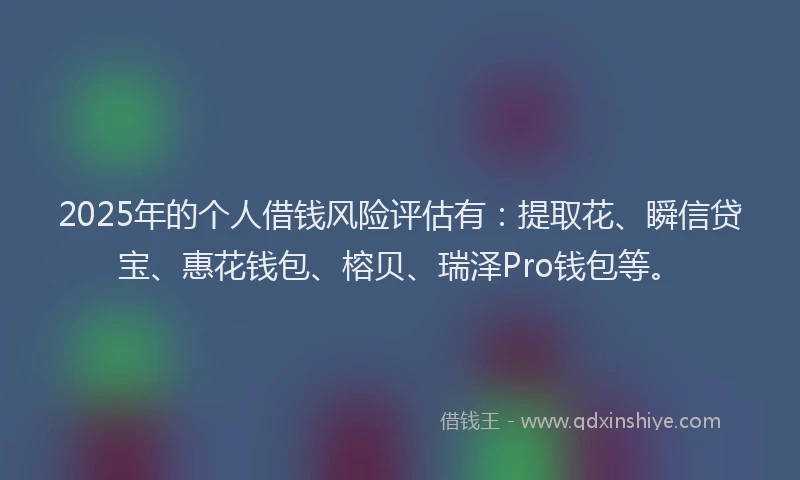 2025年的个人借钱风险评估有：提取花、瞬信贷宝、惠花钱包、榕贝、瑞泽Pro钱包等。