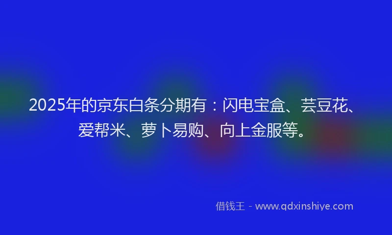 2025年的京东白条分期有：闪电宝盒、芸豆花、爱帮米、萝卜易购、向上金服等。
