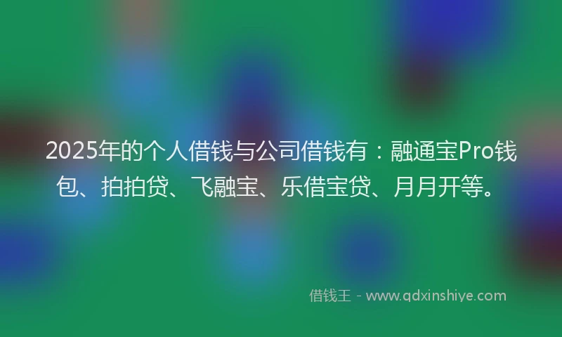 2025年的个人借钱与公司借钱有：融通宝Pro钱包、拍拍贷、飞融宝、乐借宝贷、月月开等。