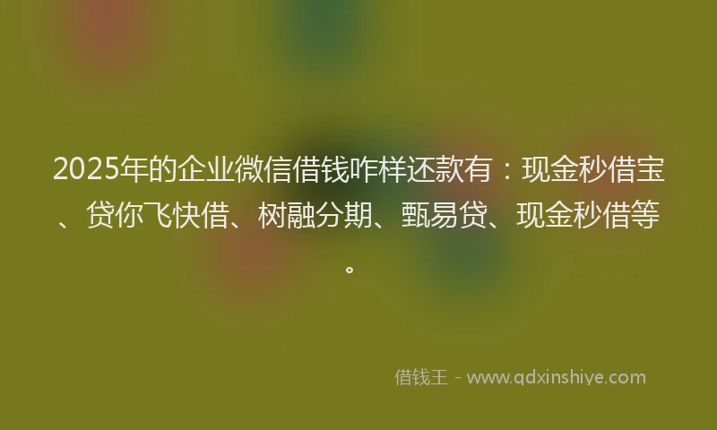 2025年的企业微信借钱咋样还款有：现金秒借宝、贷你飞快借、树融分期、甄易贷、现金秒借等。