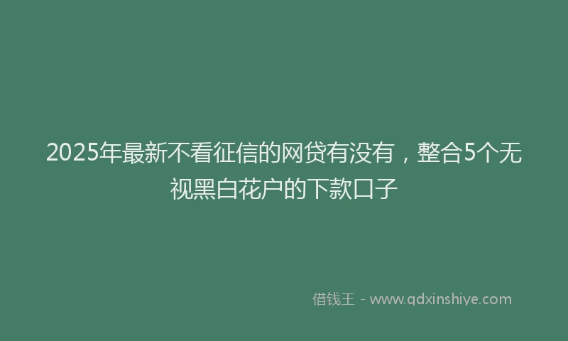 2025年最新不看征信的网贷有没有，整合5个无视黑白花户的下款口子