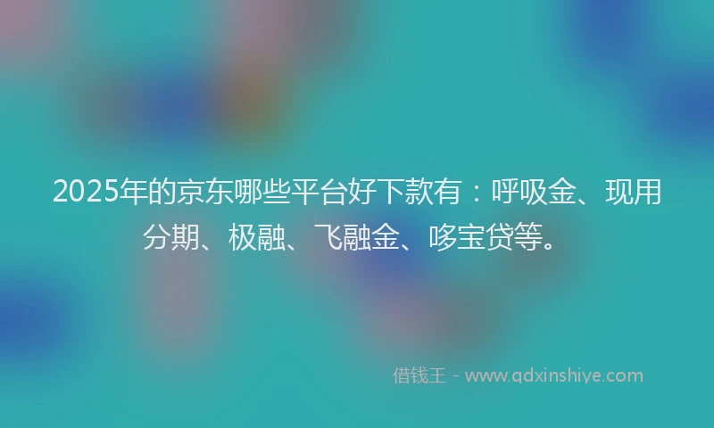 2025年的京东哪些平台好下款有：呼吸金、现用分期、极融、飞融金、哆宝贷等。