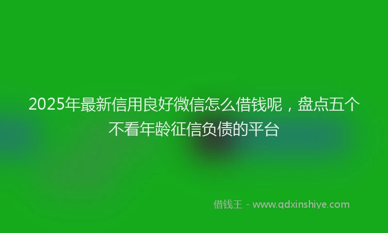 2025年最新信用良好微信怎么借钱呢，盘点五个不看年龄征信负债的平台