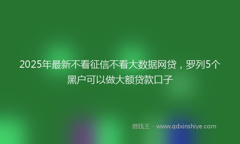 2025年最新不看征信不看大数据网贷，罗列5个黑户可以做大额贷款口子