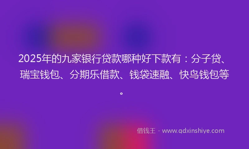 2025年的九家银行贷款哪种好下款有：分子贷、瑞宝钱包、分期乐借款、钱袋速融、快鸟钱包等。