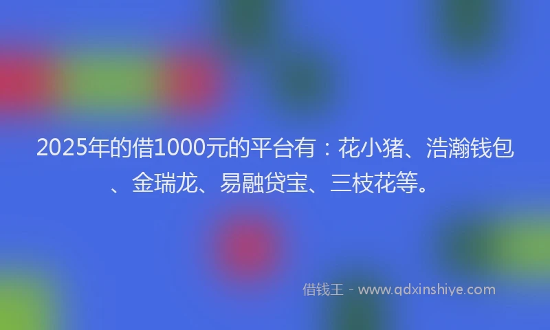 2025年的借1000元的平台有：花小猪、浩瀚钱包、金瑞龙、易融贷宝、三枝花等。