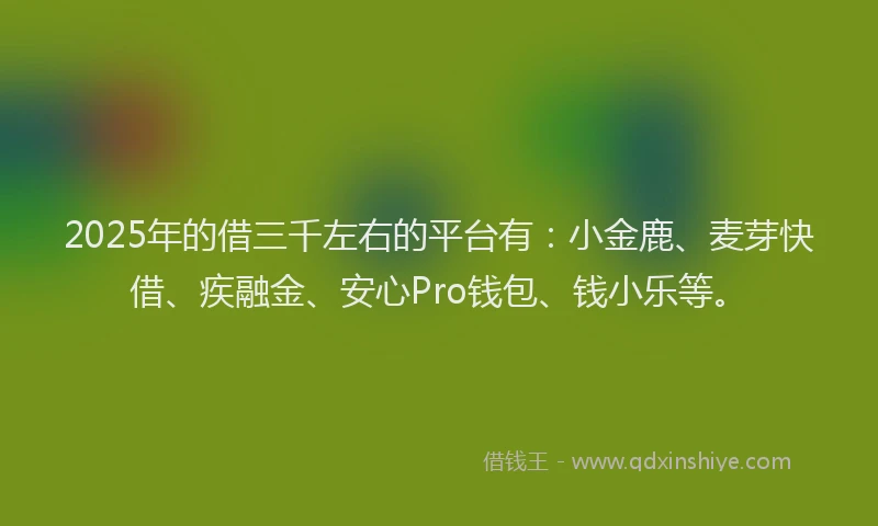 2025年的借三千左右的平台有：小金鹿、麦芽快借、疾融金、安心Pro钱包、钱小乐等。