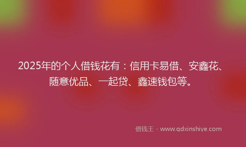 2025年的个人借钱花有：信用卡易借、安鑫花、随意优品、一起贷、鑫速钱包等。