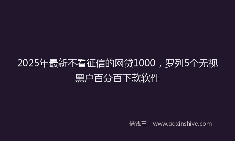 2025年最新不看征信的网贷1000，罗列5个无视黑户百分百下款软件