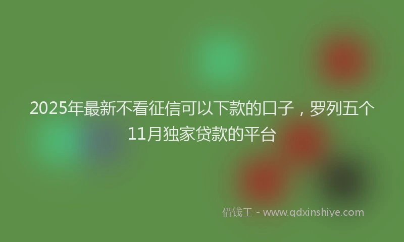2025年最新不看征信可以下款的口子，罗列五个11月独家贷款的平台