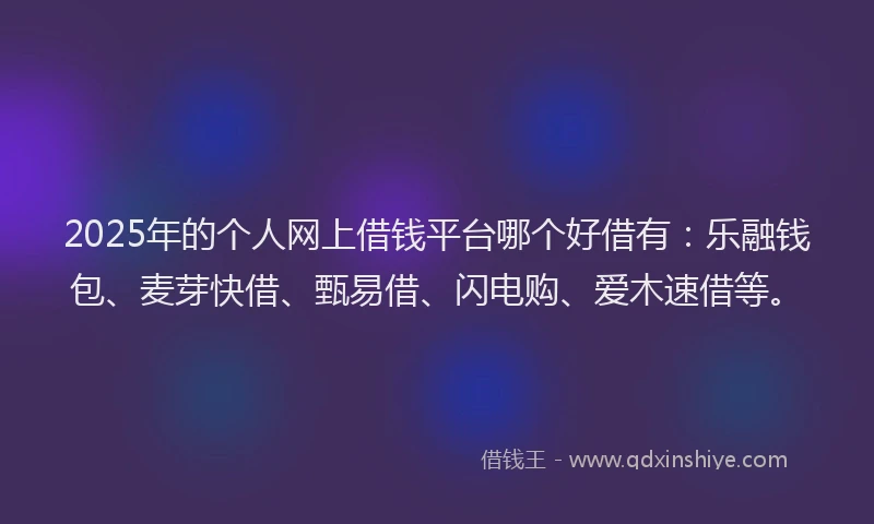 2025年的个人网上借钱平台哪个好借有：乐融钱包、麦芽快借、甄易借、闪电购、爱木速借等。