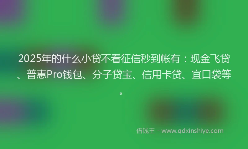 2025年的什么小贷不看征信秒到帐有：现金飞贷、普惠Pro钱包、分子贷宝、信用卡贷、宜口袋等。