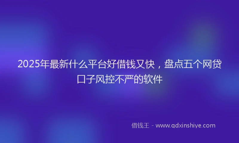 2025年最新什么平台好借钱又快，盘点五个网贷口子风控不严的软件