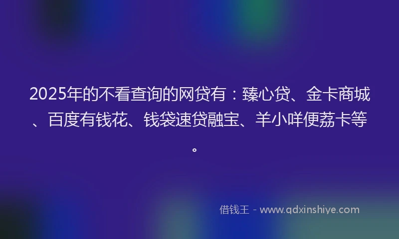 2025年的不看查询的网贷有：臻心贷、金卡商城、百度有钱花、钱袋速贷融宝、羊小咩便荔卡等。