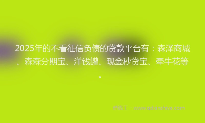 2025年的不看征信负债的贷款平台有：森泽商城、森森分期宝、洋钱罐、现金秒贷宝、牵牛花等。