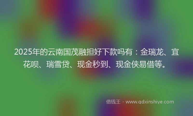 2025年的云南国茂融担好下款吗有：金瑞龙、宜花呗、瑞雪贷、现金秒到、现金侠易借等。