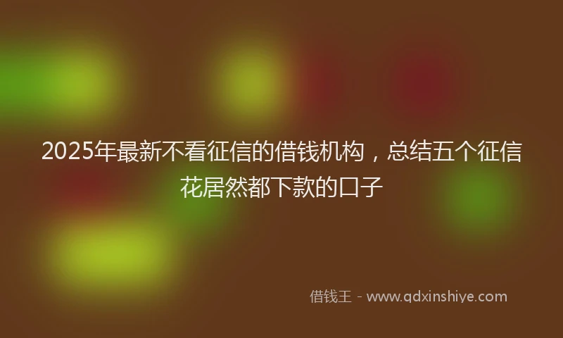 2025年最新不看征信的借钱机构，总结五个征信花居然都下款的口子