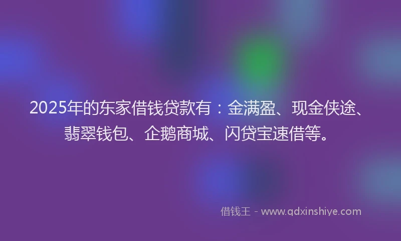 2025年的东家借钱贷款有：金满盈、现金侠途、翡翠钱包、企鹅商城、闪贷宝速借等。