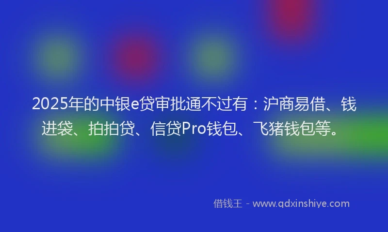 2025年的中银e贷审批通不过有：沪商易借、钱进袋、拍拍贷、信贷Pro钱包、飞猪钱包等。