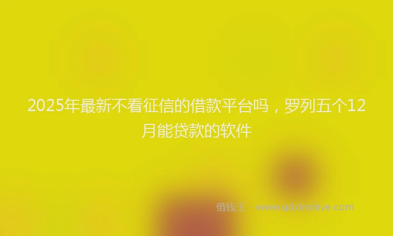 2025年最新不看征信的借款平台吗，罗列五个12月能贷款的软件