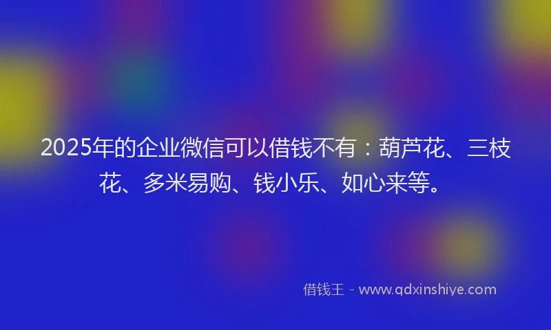 2025年的企业微信可以借钱不有：葫芦花、三枝花、多米易购、钱小乐、如心来等。
