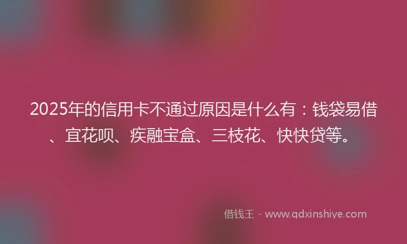 2025年的信用卡不通过原因是什么有：钱袋易借、宜花呗、疾融宝盒、三枝花、快快贷等。