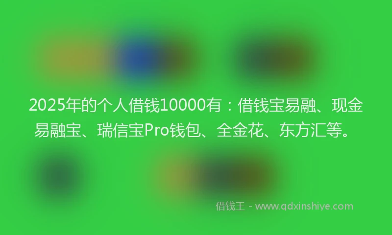 2025年的个人借钱10000有：借钱宝易融、现金易融宝、瑞信宝Pro钱包、全金花、东方汇等。