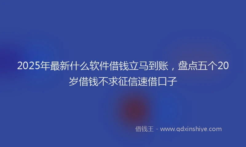 2025年最新什么软件借钱立马到账，盘点五个20岁借钱不求征信速借口子