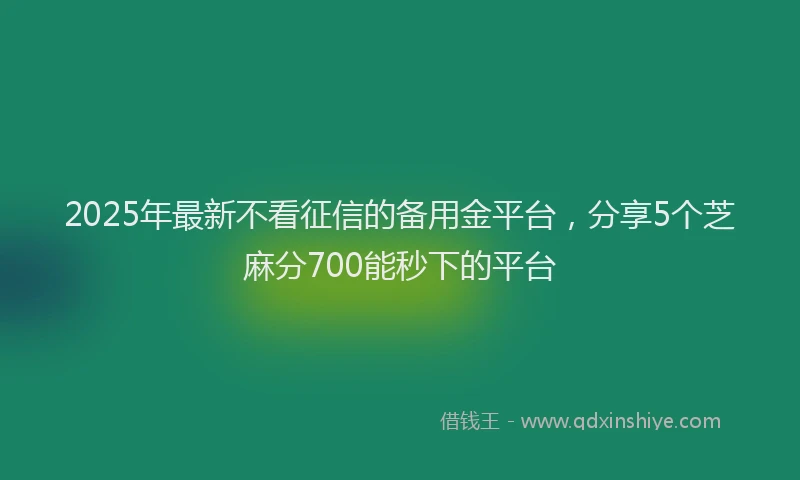 2025年最新不看征信的备用金平台，分享5个芝麻分700能秒下的平台