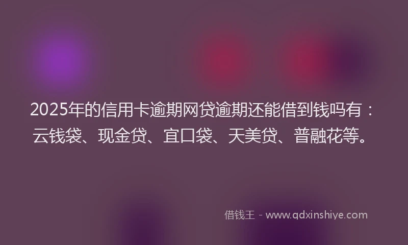 2025年的信用卡逾期网贷逾期还能借到钱吗有：云钱袋、现金贷、宜口袋、天美贷、普融花等。