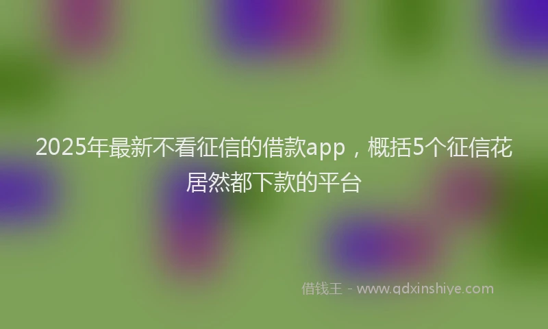 2025年最新不看征信的借款app，概括5个征信花居然都下款的平台