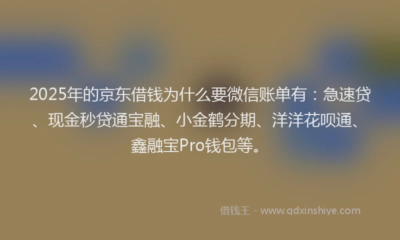 2025年的京东借钱为什么要微信账单有：急速贷、现金秒贷通宝融、小金鹤分期、洋洋花呗通、鑫融宝Pro钱包等。