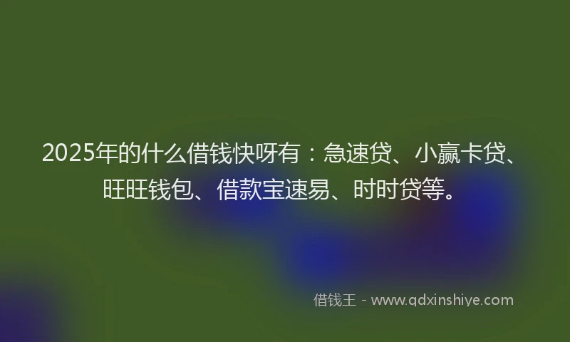 2025年的什么借钱快呀有：急速贷、小赢卡贷、旺旺钱包、借款宝速易、时时贷等。
