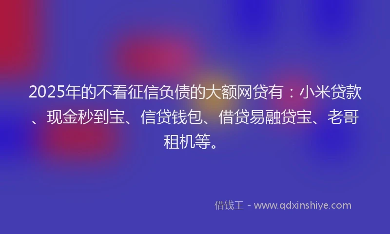 2025年的不看征信负债的大额网贷有：小米贷款、现金秒到宝、信贷钱包、借贷易融贷宝、老哥租机等。