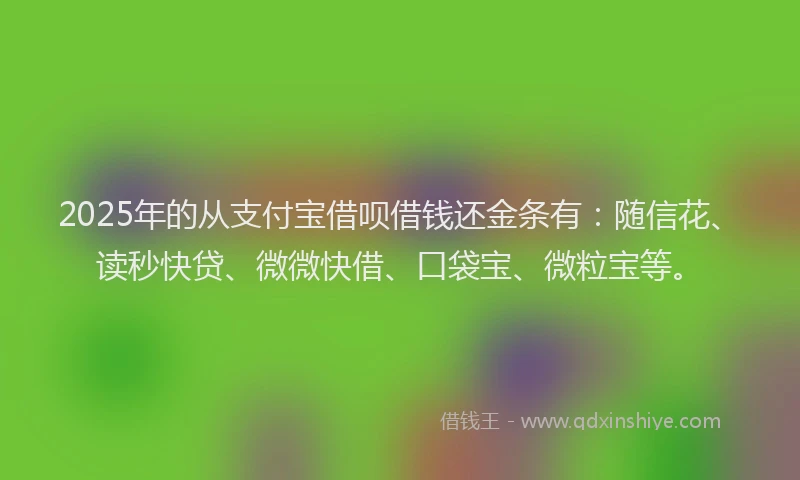 2025年的从支付宝借呗借钱还金条有：随信花、读秒快贷、微微快借、口袋宝、微粒宝等。