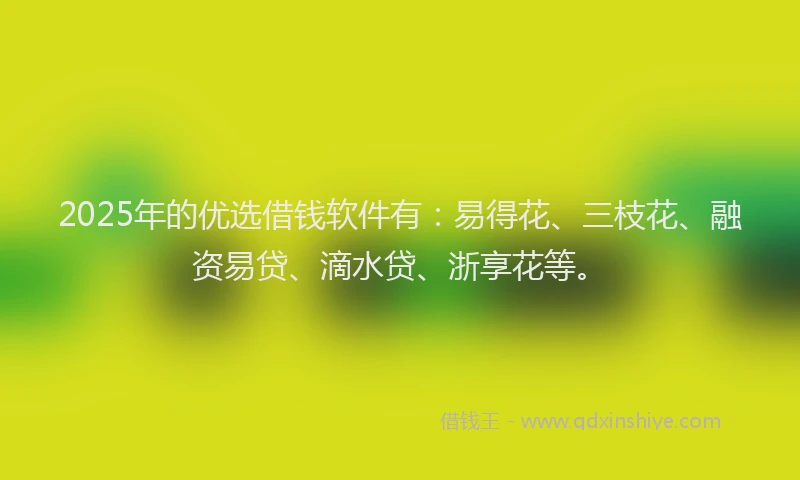 2025年的优选借钱软件有：易得花、三枝花、融资易贷、滴水贷、浙享花等。