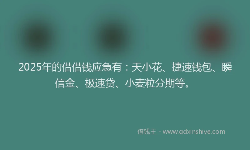 2025年的借借钱应急有：天小花、捷速钱包、瞬信金、极速贷、小麦粒分期等。